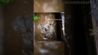 What a GURGLE sewer satisfying drainage [upl. by Lanuk]