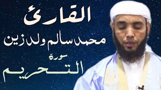 66 سورة التحريم للقارئ محمد سالم ولد زين [upl. by Attoynek901]