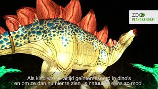 Kijk mee tijdens de opening van Dinolights in ZOO Planckendael [upl. by Nnahoj]