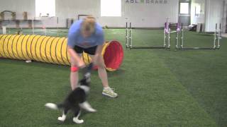 Kayl McCann Training 11 Week Old Grand Slam [upl. by Bock969]