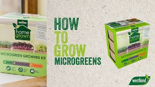 How to use your Unwins Homegrown Microgreen Growing Kit [upl. by Connelley976]