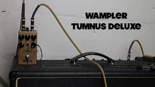 Wampler Tumnus Deluxe Demo [upl. by Truda]