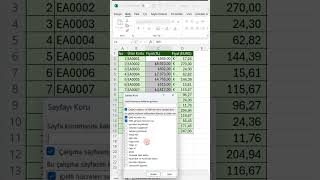 Microsoft Excel’de Belirli Hücreleri Kilitlemek 🔐 [upl. by Adlemy]