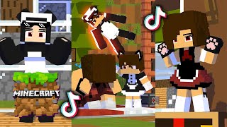 Minecraft Bagas Craft TikTok Compilation [upl. by Landon]