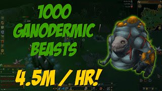 Runescape 2016  Loot from 1000 Ganodermic Beasts [upl. by Gore]