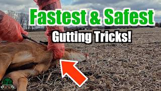 Field Dress a Deer in Minutes Fast amp Safe Gutting Tips for Every Hunter [upl. by Ayoral379]