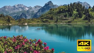 Imagens lindas da natureza e paisagens incríveis – Baixar Grátis [upl. by Kral]