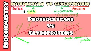 Proteoglycan VS Glycoproteins easy explanation for USMLE NEET PG INICET NCLEX [upl. by Jepum378]