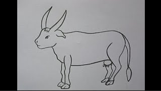 how to draw cow easy cow drawing for beginners step by step [upl. by Baun]