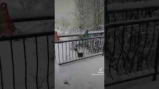 ❄️ La neige a recouvert tout le sud du Massif Central dès basse altitude📅 date  11012024 [upl. by Ziana88]