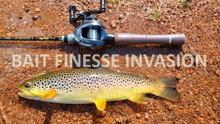 Bait Finesse Invades Fly Fishing Country Day 2 [upl. by Weywadt]