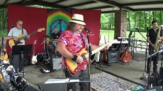 Tony Joe White  Polk Salad Annie  Neighborhood Picnic Band 2019 [upl. by Anifled]