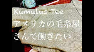 【Kumulus Tee】大好きな毛糸屋さんが仕事を募集してたので応募してみた｜アメリカから編み物ブログ61 [upl. by Elnore287]