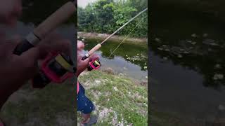 Catching peacock bass in Florida city Gabe’s 1st fish freshwaterfish swflfish fish peacockbass [upl. by Piero]