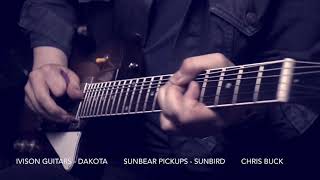 SUNBIRD Mini Humbuckers Played by Chris Buck in Ivison Guitars Dakota  SUNBEAR PICKUPS  Firebird [upl. by Paten]