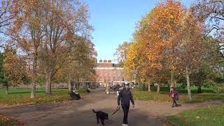 Autumn leaves at Kensington Palace [upl. by Adnimra]