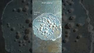 Sulphuric Acid vs Iron [upl. by Pansir]