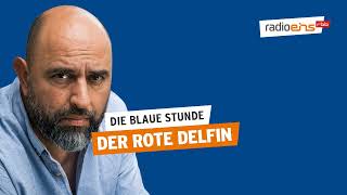 Der Rote Delfin  Die Blaue Stunde  223 [upl. by Obbard]