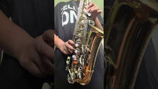 Sadadara nayo obe  Sax cover by Amelia fy saxophone saxcover music saxophonemusic sinhala [upl. by Etsirk325]