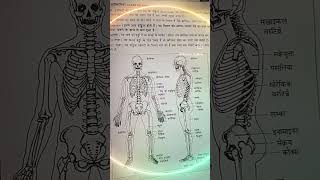 206 bones name pedwalasir physicaleducation antonyms bones tgt pgt shorts viral csjmuped [upl. by How]