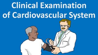 Clinical Examination of Cardiovascular System [upl. by Alayne]