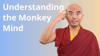 Understanding the Monkey Mind with Yongey Mingyur Rinpoche [upl. by Teador]