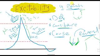 4Nerve  Excitability changes [upl. by Graner]