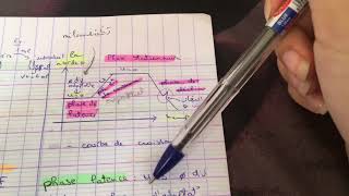 Td microbiologie L2  croissance bactérienne [upl. by Ateerys]