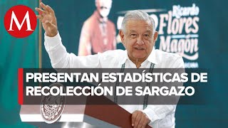 Situación actual del sargazo en el Caribe mexicano es alarmante Semar [upl. by Adnerol160]