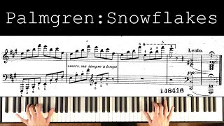 Palmgren Snöflingor Snowflakes scoreanalysis [upl. by Eyllom]