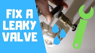 How To Fix A Leaky Shut Off Valve [upl. by Assyral]