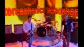 Stereophonics  1000 Trees  Live 1996 [upl. by Aldarcie]