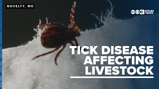 Knowledge about a tick and the disease it spreads was shared at University of Missouris Field Day [upl. by Reichel]