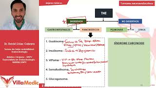 Tumores neuroendocrinos  Endocrinologia Villamedic [upl. by Thissa]