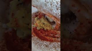 Mysore Masala Dosa in Mysore travelvlog food [upl. by Coniah]