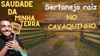 Saudade da Minha Terra no cavaquinho com a Tab [upl. by Ardnek573]