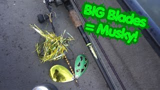 BUCKTAIL Fishing for Canadian MUSKIES  Canada Musky Trip Day 7 Morning [upl. by Ettezzil]