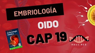 CAP 19OÍDOEMBRIOLOGÍA MÉDICA DE LANGMANRESUMENPODCASTAUDIO [upl. by Kcirdek]