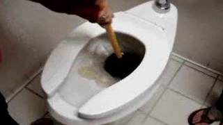 How to unclog a toilet [upl. by Ardnuyek]