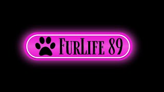 FurLife 89 005 [upl. by Eiramyllek50]