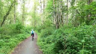 Vedder Rotary Trail from Vedder Bridge to Vedder River Campground Chiliwack BC Canada [upl. by Beebe]