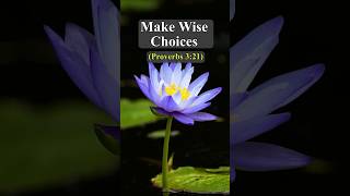 Discernment in Making Wise Choices dailyprayers affirmations biblicalaffirmations quotes [upl. by Atsirc]