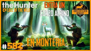 QUEDO EN SHOCK CON ESTE ALBINO ENTRANDO EN MONTERÍA  🦌theHunter CotW 582 [upl. by Felicdad689]