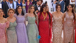 Tarek amp Hayat  Wedding  Hozan Jenedi  part 4  by Cavo Media [upl. by Karalynn671]