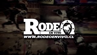 RODEO CLASIFICATORIO 2017 NOS  DIA 02 [upl. by Neelac]