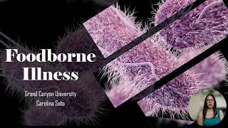 Foodborne Illness [upl. by Ynatterb]