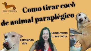 Como tirar fezes de animal paraplégico tutorial wwwmeupetespecialcombr [upl. by Rednav861]