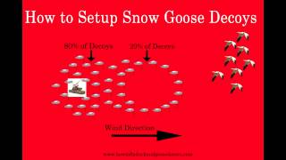 HOW TO Setup Snow Goose Decoys In 5 Simple Steps [upl. by Reehsab]