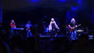 White winged Dove  Tusk Fleetwood Mac Tribute band Plays Kennesaw GA [upl. by Aenahs]