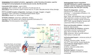 Antiplatelet agents vs anticoagulant drugs [upl. by Eet]